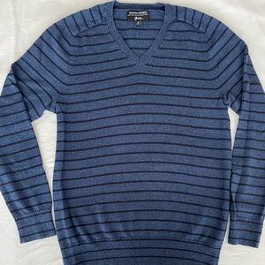 Banana Republic Italian Merino Wool V-neck Sweater